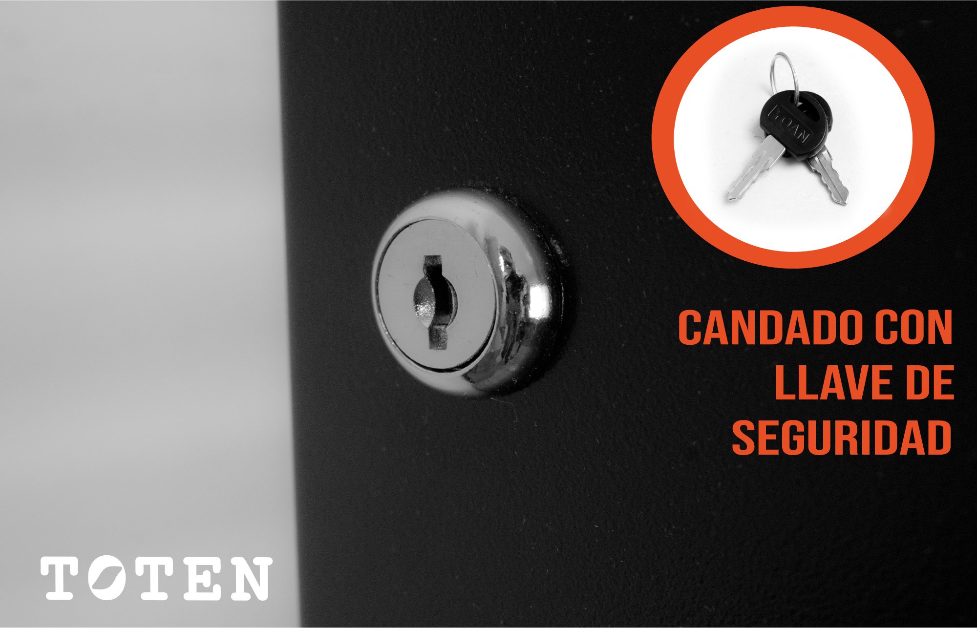 Ordenador Vertical de Alta Densidad (HD) 42RU