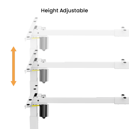 Patas Eléctricas con Motor Único- Carga 80 kg / Ancho y Altura Regulable