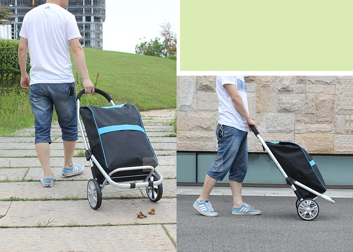 Coche de Mercado Plegable con Bolsa - Carga 35kg - Aluminio