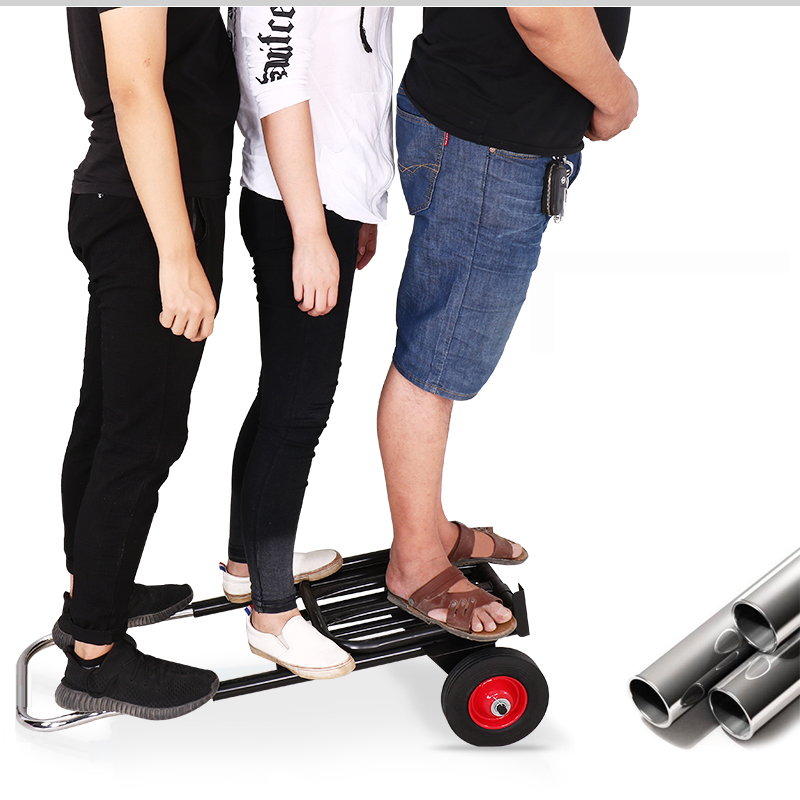 Coche Carreta Plegable - Carga 160kg