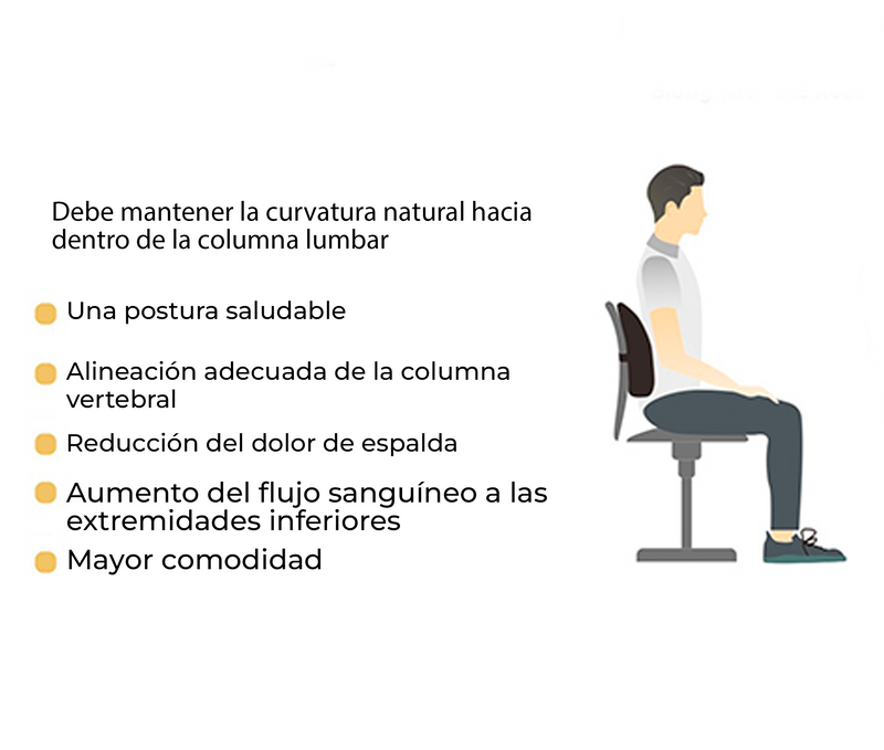 Cojín Respaldar Lumbar de Espuma Viscoelástica para Silla de Oficina - Alivia dolor De Espalda