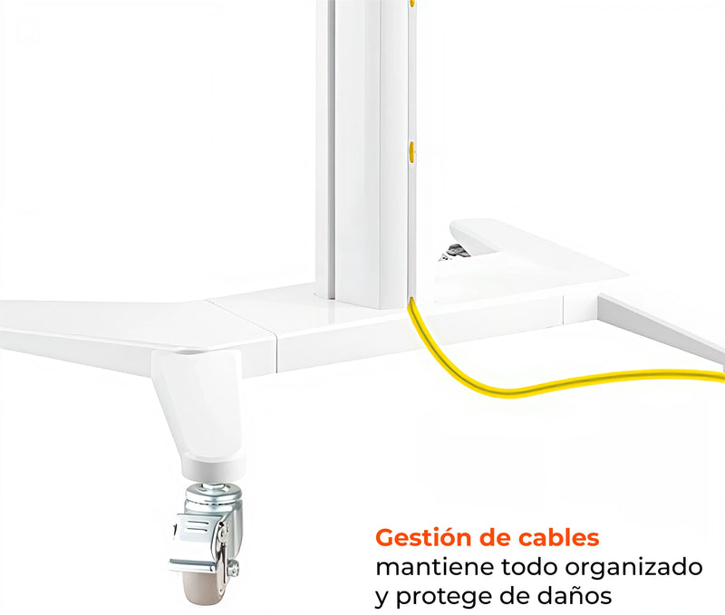 Pedestal con Ruedas para TV 37 a 70 Pulg / VESA Max 600x400mm / Vertical y Horizontal / Rotación 90° / Carga 70 kg