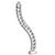 Vertebra Flexible Para Organizar Cables de Escritorio / Altura Max 73cm
